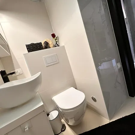 公寓 Apartment-studio Fiorino *